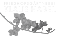 Habel--Logo_sw-u