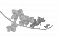Logo Habel